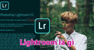 lightroom là gì