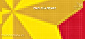 Bitmap hay ảnh Bitmap là gì