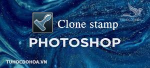 Clone stamp và Clone source trong Photoshop
